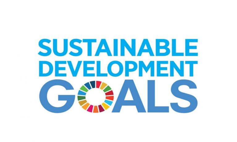 Pakistani Startup Wondertree is Selected for Google for Startups Accelerator program on Sustainable Development Goals